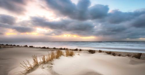 Strandwandeling 2024